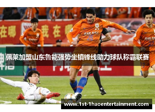 佩莱加盟山东鲁能强势坐镇锋线助力球队称霸联赛