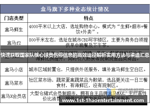 快速获取国家队核心球员伤停信息的高效途径解析实用方法与渠道汇总